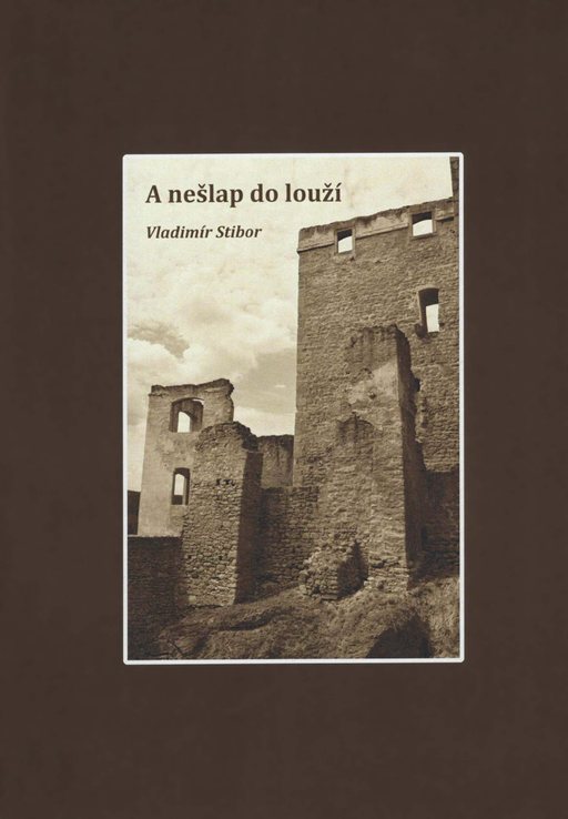 Obálka knihy A nešlap do louží