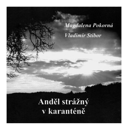 Obálka knihy Anděl strážný v karanténě