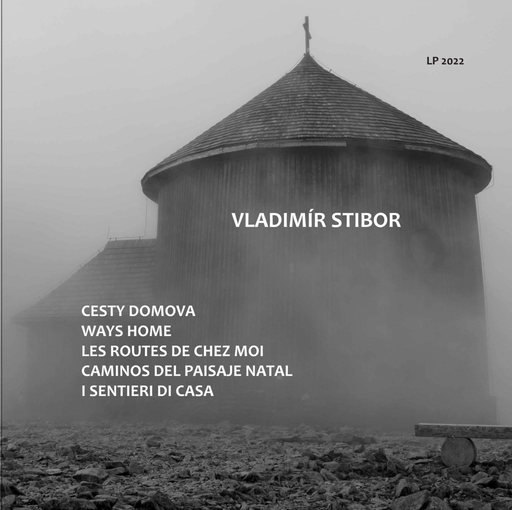 Obálka knihy Cesty domova