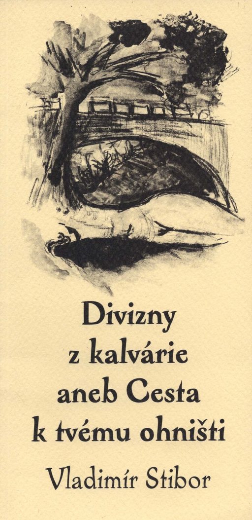 Obálka knihy Divizny z kalvárie aneb Cesta k tvému ohništi