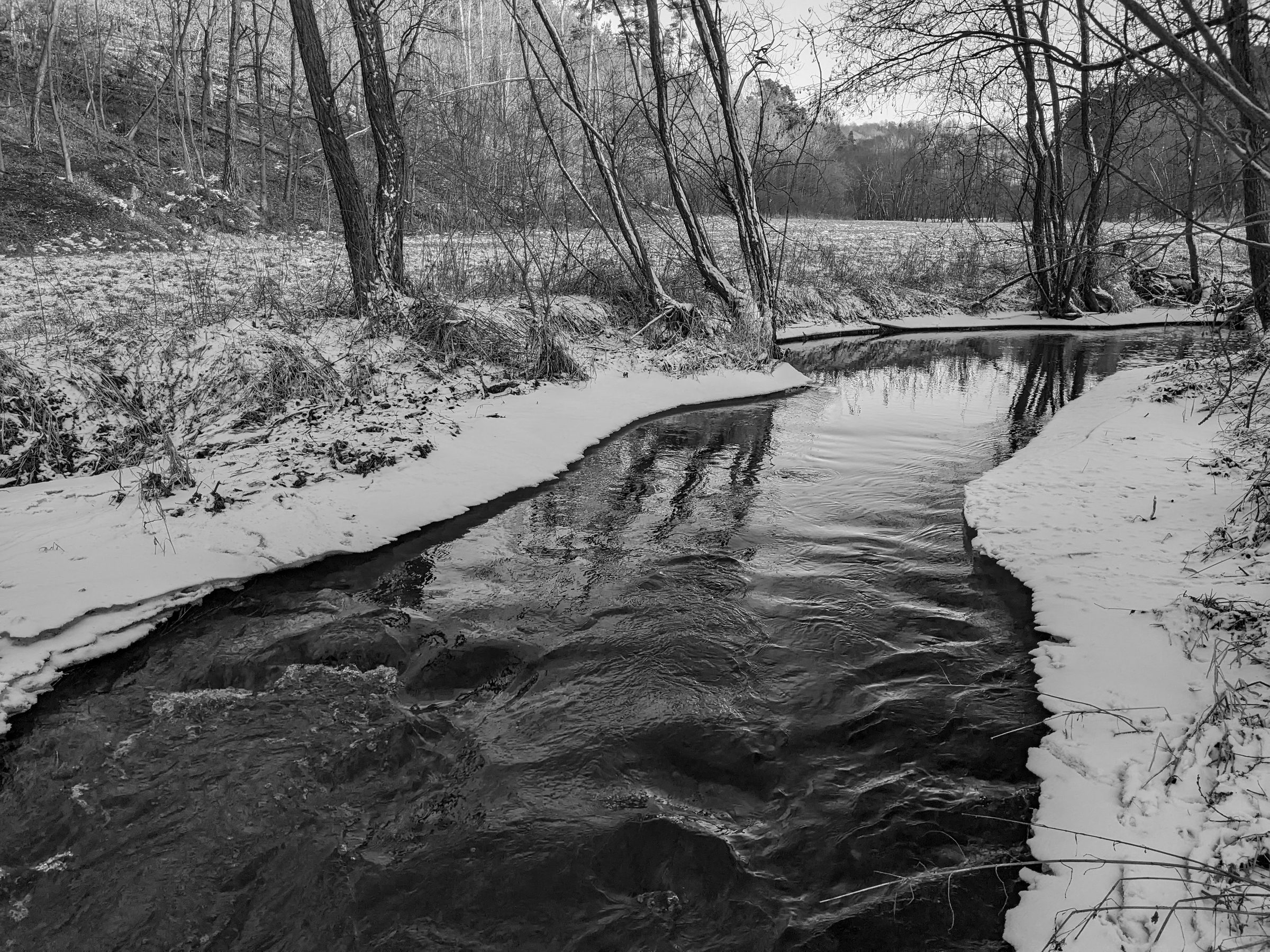 Fotografie Vladimíra Stibora — zimní krajina u řeky Brziny v lednu